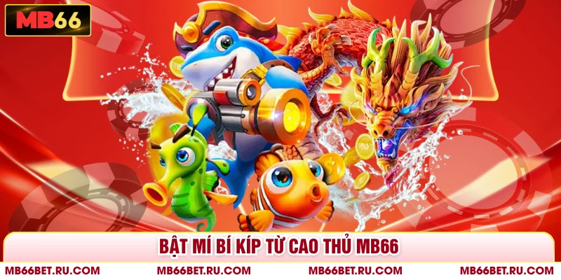 Bắn Cá Xèng - Tham Gia Săn Boss Nhận Về Jackpot Khủng Bật mí bí kíp từ cao thủ MB66