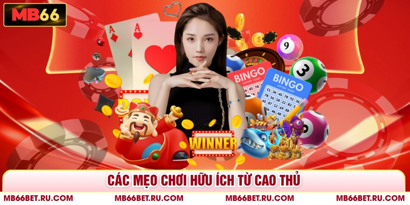 Mẹo Chơi Bài Rồng Hồ Online - Chiến Lược Tăng Tỷ Lệ Thắng Các mẹo chơi hữu ích từ cao thủ