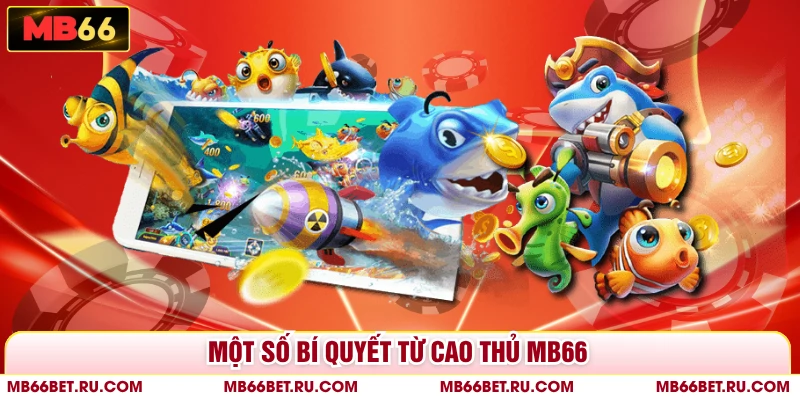 Nổ Hũ Thủy Cung MB66 - Nhanh Tay Săn Ngay Jackpot Siêu Khủng Một số bí quyết từ cao thủ MB66