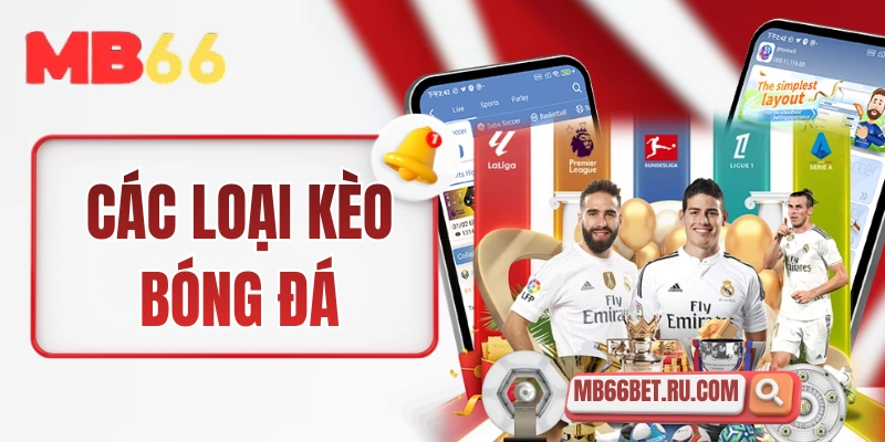 cac loai keo bong da thumbnail