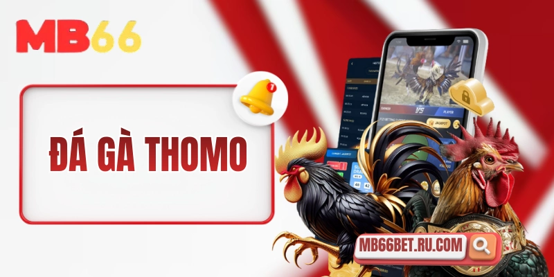 da ga thomo thumbnail